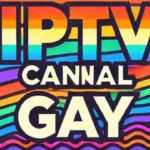 Gay Vod