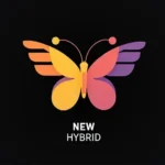 New Hybrid Site Para Comprar P2P
