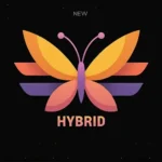 New Hybrid Assinatura Do P2P