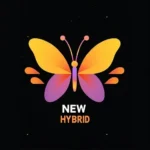 New Hybrid P2P Por Assinatura
