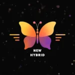 New Hybrid P2P Assinatura Mensal