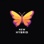 New Hybrid Qual P2P Comprar
